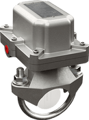 Potter VSR-F-EX 2" WATER FLOW INDICATOR EXPLOSION PROOF